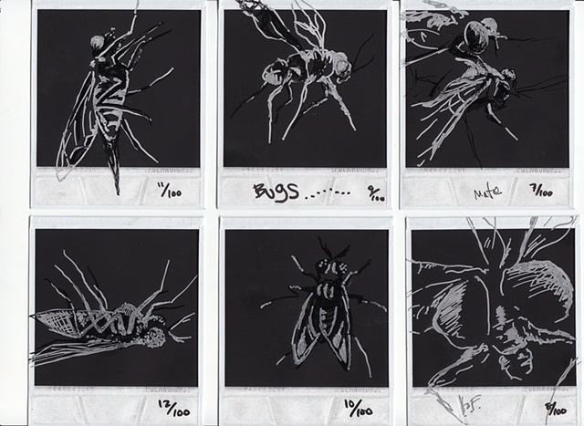 Drawings of H�O�F --> 7-12