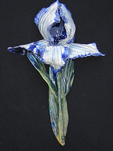 White and Blue Iris