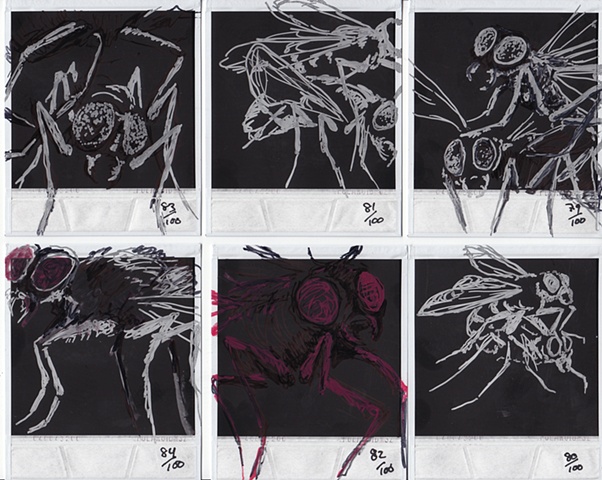 Drawings H�O�F -->  79-84