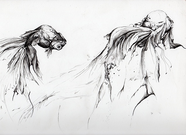 the original drawing