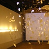 Falling Bird Installation
