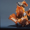 Golden Conch