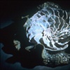 GEO