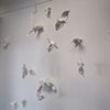 Falling Bird Installation at Anoka