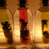 Indicators Series