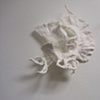 Falling Bird Installation at Anoka (detail)