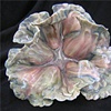 Small Pink lotus
