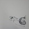 Silent Scream - 2
