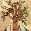 Finding a Perfect Nest