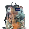 janSport Artist Series
