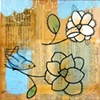 Blue Bird Magnolia