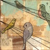 Birds on a Wire