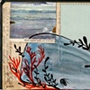 Coral Eater