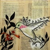 Hummingbird