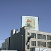 Converse Billboard