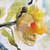 Yellow Roses