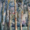 Colorado Birches