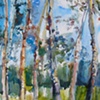 Landscapes 