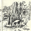 Darom: First sketch