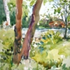 Bernardsville, Pond