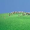 A CROWD IN A FIELD OF GRASS (1998)