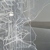 THE FOREST (GLASS DELUSION)