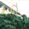 Bridge and Bushes