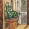 Imaginary Southwestern Souvenir Shop