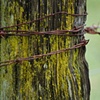 Fence II