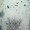 The Birds at Washington Square Park