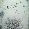 Untitled 5