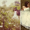 the dress