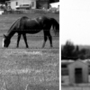 Mesquite, Nevada