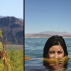 Desert Water