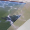 Overflowing Salt Water Pool with Steps and Clouds