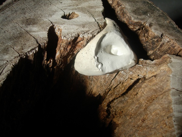 Confluence 2