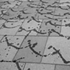 Drawing Water