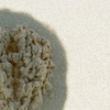 Sand Head 7