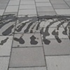 Drawing Water - Wave
