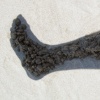 Sand Leg Left