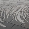 Drawing Water