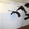 The Black Swan Event
2010