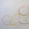 Contour Line Drawings of Fruit 1