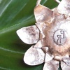 Sun Flower Pendant
