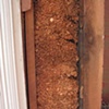 Wood shaving Insulation