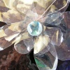 Clearly A Flower {Orchid}