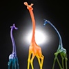 giraffes