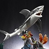 Shark Attack