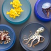 sea life wave 