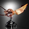 Giant Squid 